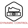 DYNAMIC CONTROL